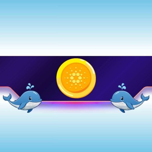 450,000,000 ADA in 2 Months: Is Cardano’s Price on the Verge of a Rally?