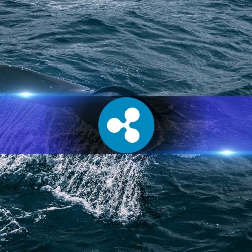 Ripple Whale Deposits to Binance Reach 6-Month High, Over 2.66 Billion XRP Transferred