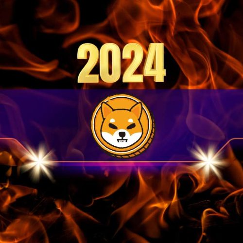 Here’s How Many Shiba Inu (SHIB) Tokens Got Burned in 2024