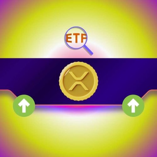 Ripple (XRP) News Today: December 23