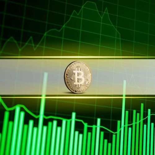 Bitcoin Profit-Taking Slows as Long-Term Holders Hold Steady in August