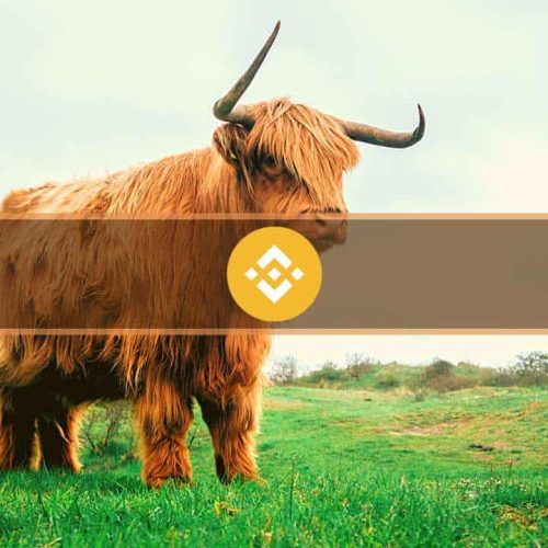 CEA Industries Secures $160M BNB Position Through Treasury Arm