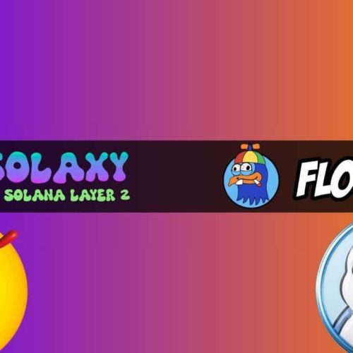 Pengu, Bonk Lead Top Meme Coin Gainers as Some Analysts Think Solaxy and Flockerz are Next to Pump